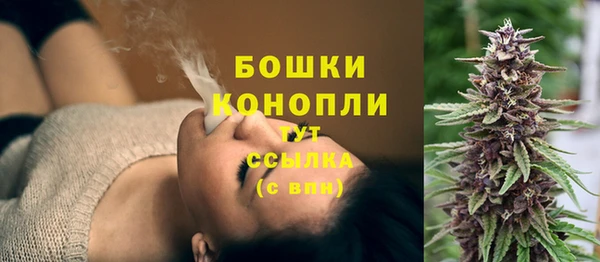 сатива Балабаново