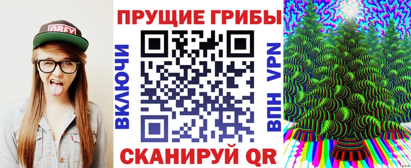 закладка  Печора  Галлюциногенные грибы мицелий 