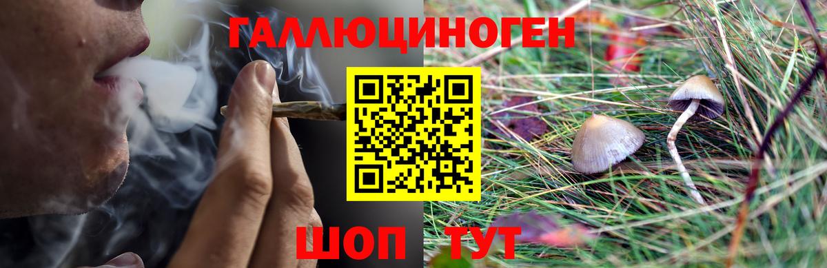 Псилоцибиновые грибы прущие грибы Печора