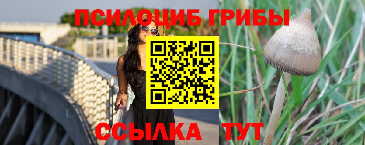 Галлюциногенные грибы Psilocybine cubensis  Вход с VPN  Печора 
